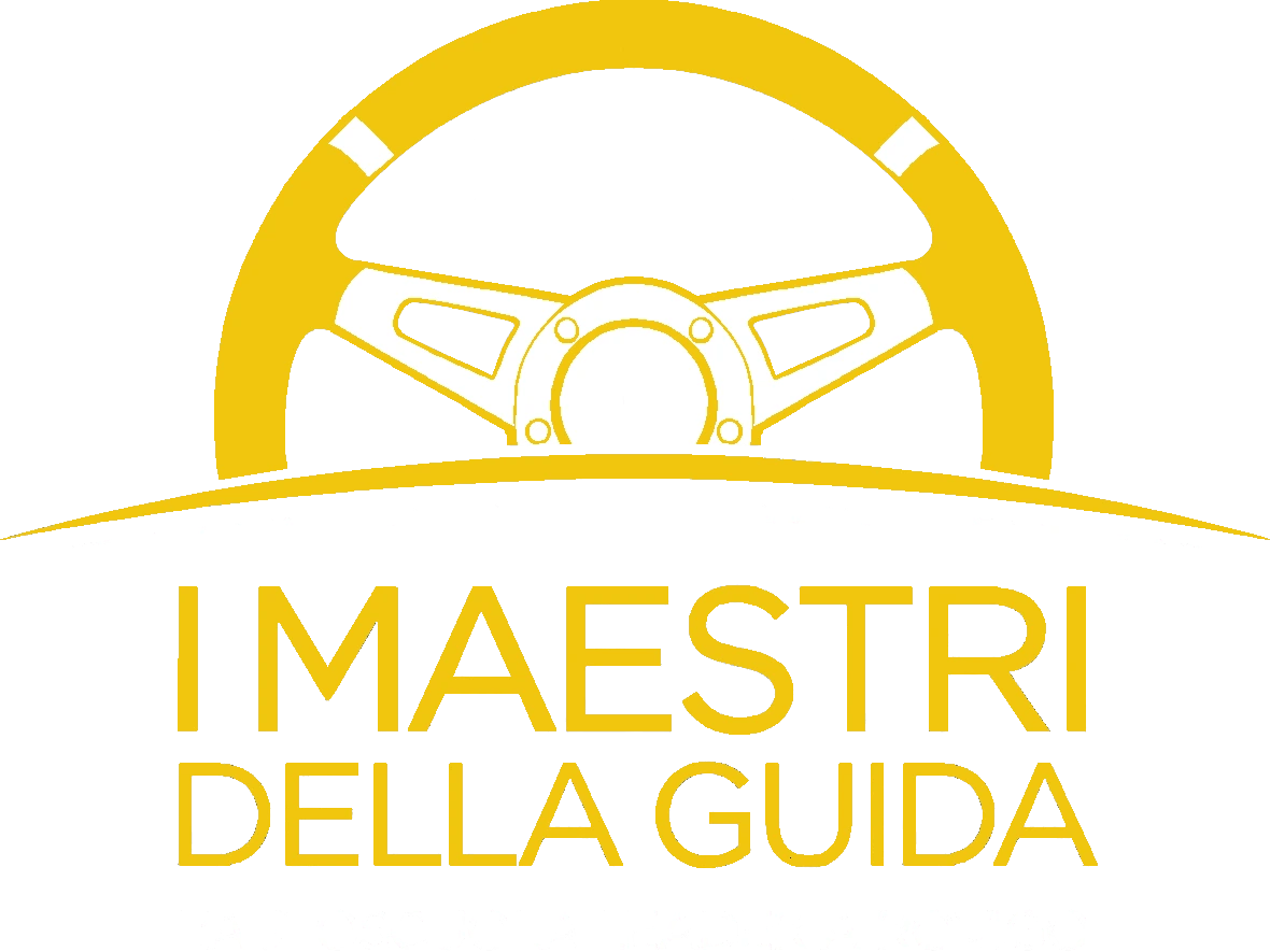 I maestri della guida